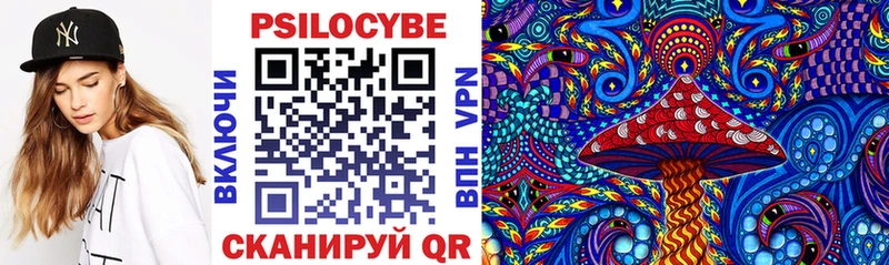 магазин  наркотиков  Гулькевичи  Псилоцибиновые грибы Magic Shrooms 